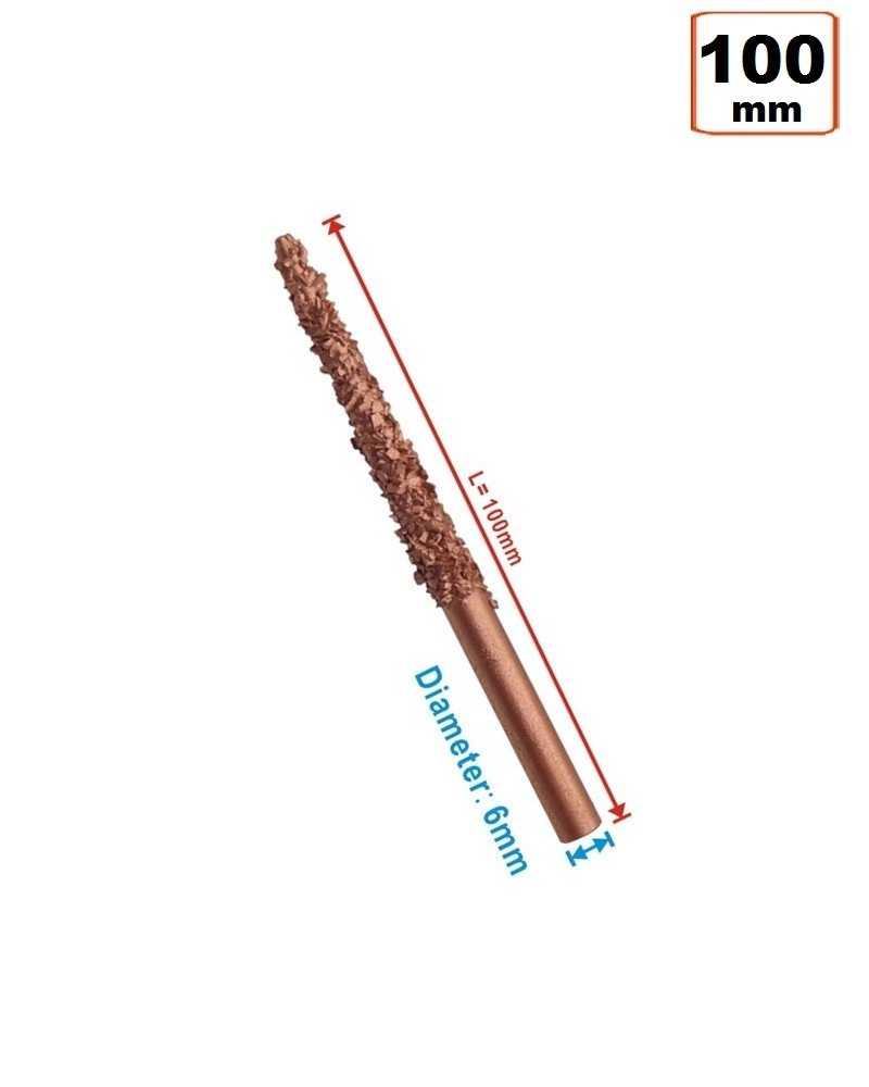 FRAISE CARBURE DE TUNGSTÈNE 100 MM SCHRADER AVEC ÉTUI DE PROTECTION