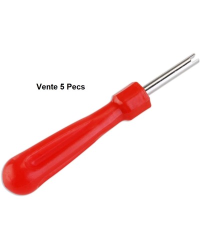 Clé Intérieur démonte-valves (Vente5Pecs)