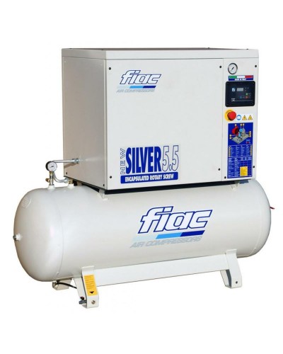 Compresseur D'air À Piston Professionnels 5,5 Cv 270L