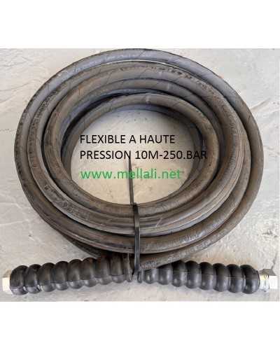 Flexible 10 mètres. Haute Pression De Service 250 bar