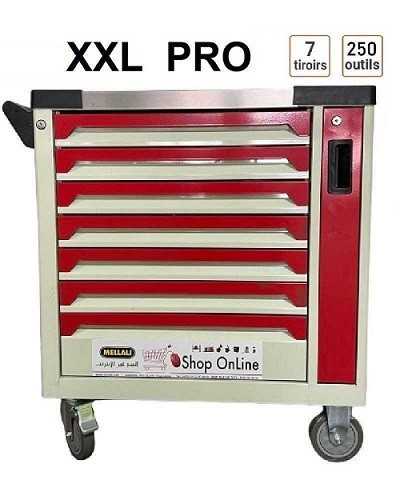 PACK PRO PONT PLUS SERVENT 250.pics